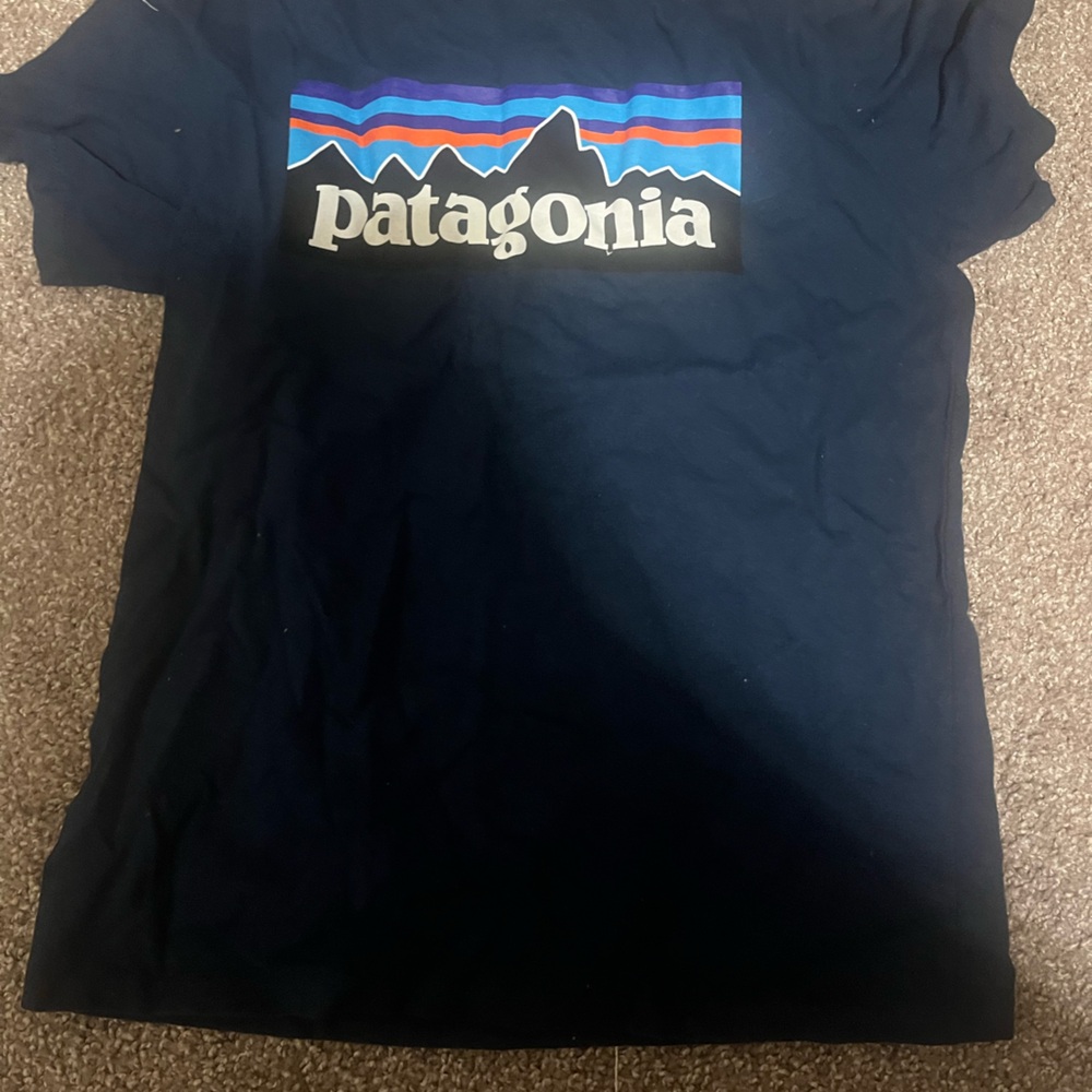 Patagonia Blue Tee with Vibrant Logo